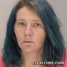 Amy Kitchings booking photo