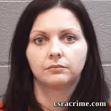 Amy North booking photo