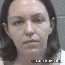Amy Parrish booking photo