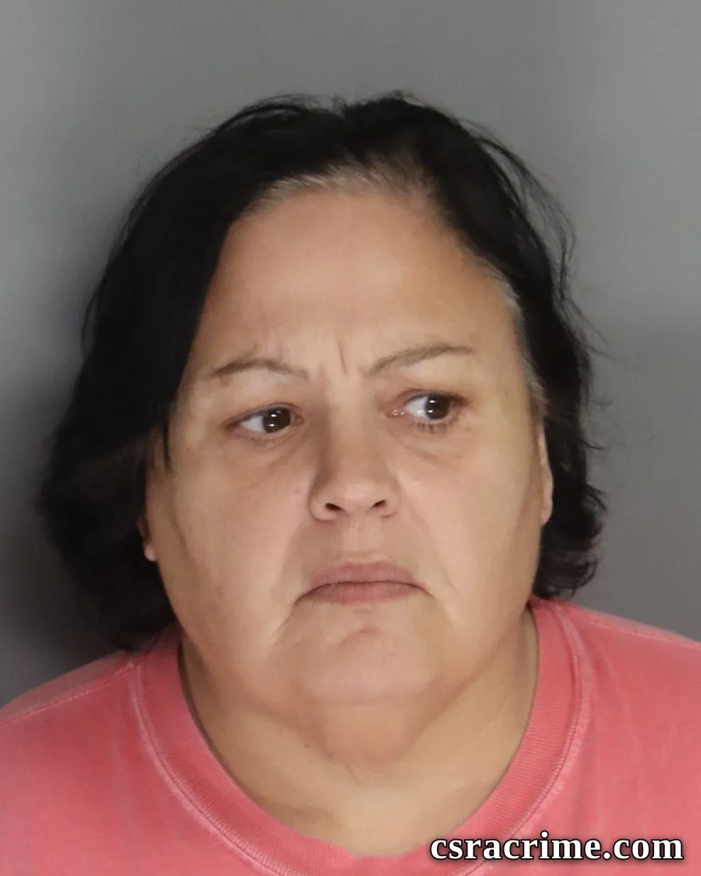 Amy Sightler booking photo