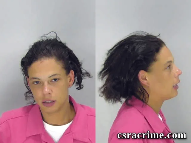 Amy Wallace booking photo