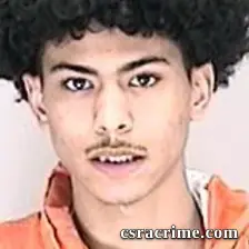 Anario Carter booking photo