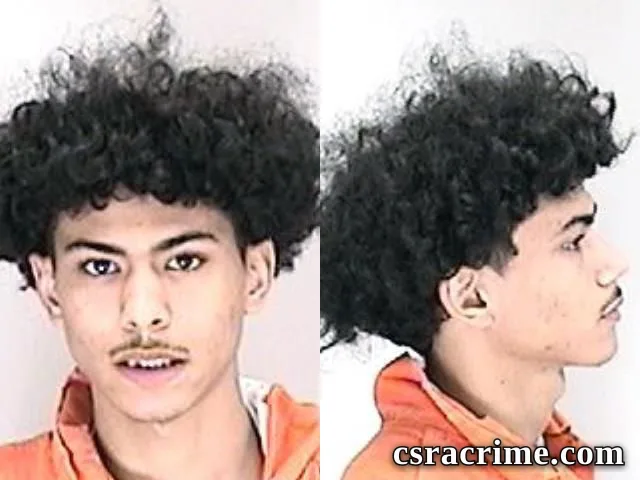 Anario Carter booking photo