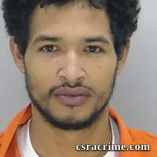 Anderson Cueller booking photo
