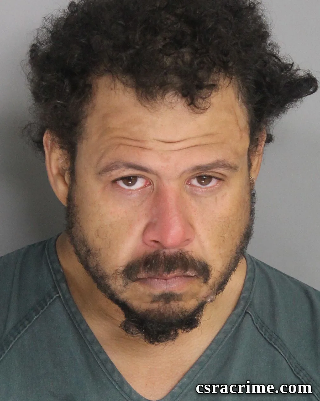 Andre Lewis booking photo