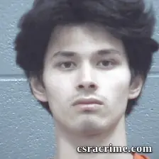 Andre Pham booking photo