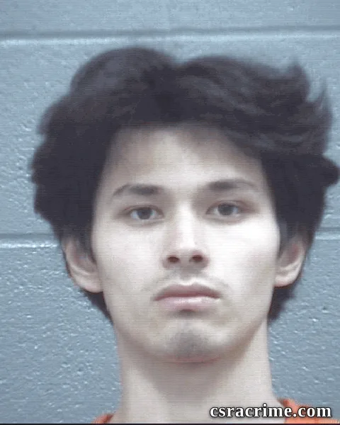 Andre Pham booking photo