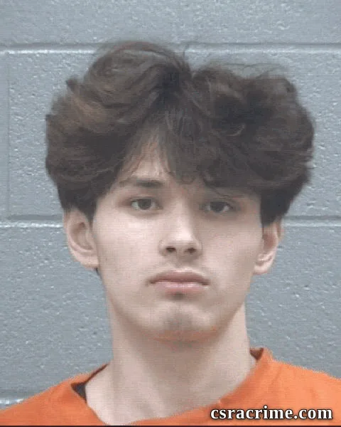 Andre Pham booking photo