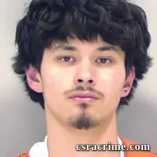 Andre Pham booking photo