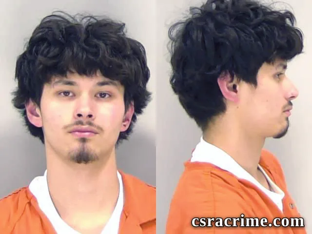 Andre Pham booking photo