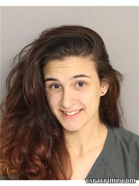 Andrea Hutto booking photo