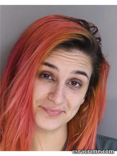 Andrea Hutto booking photo