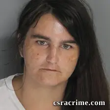 Andrea Lowe booking photo