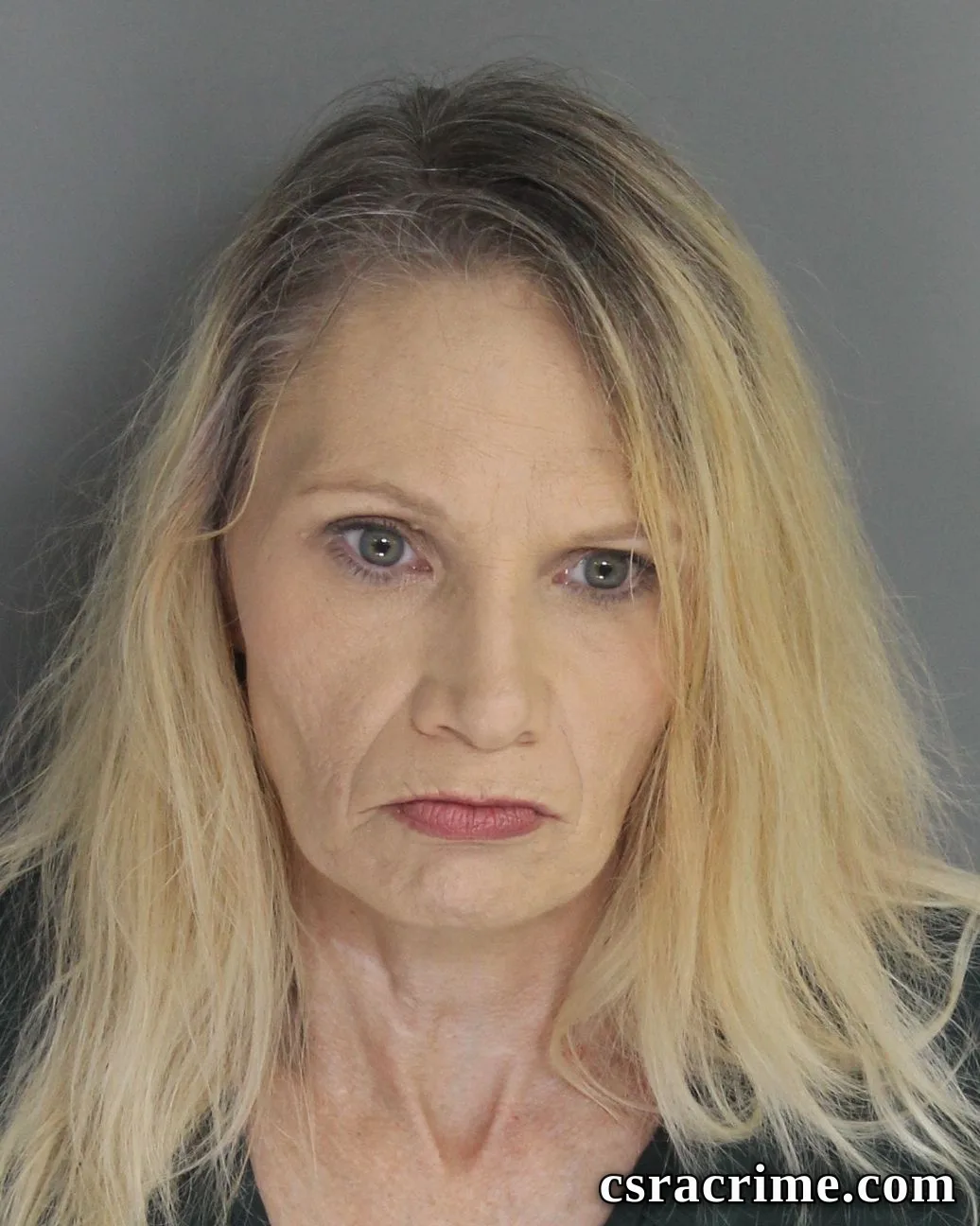 Andrea Poole booking photo