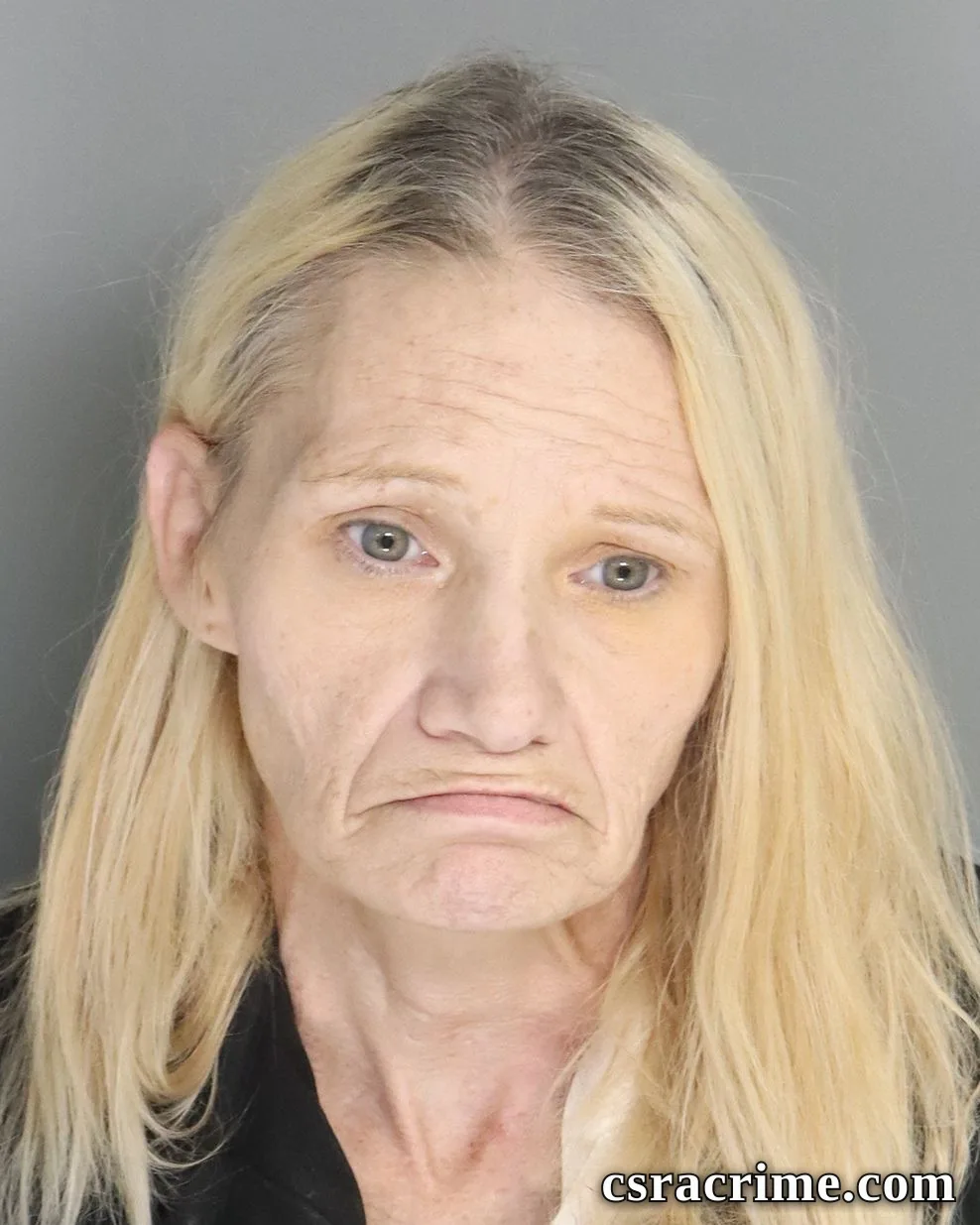 Andrea Poole booking photo