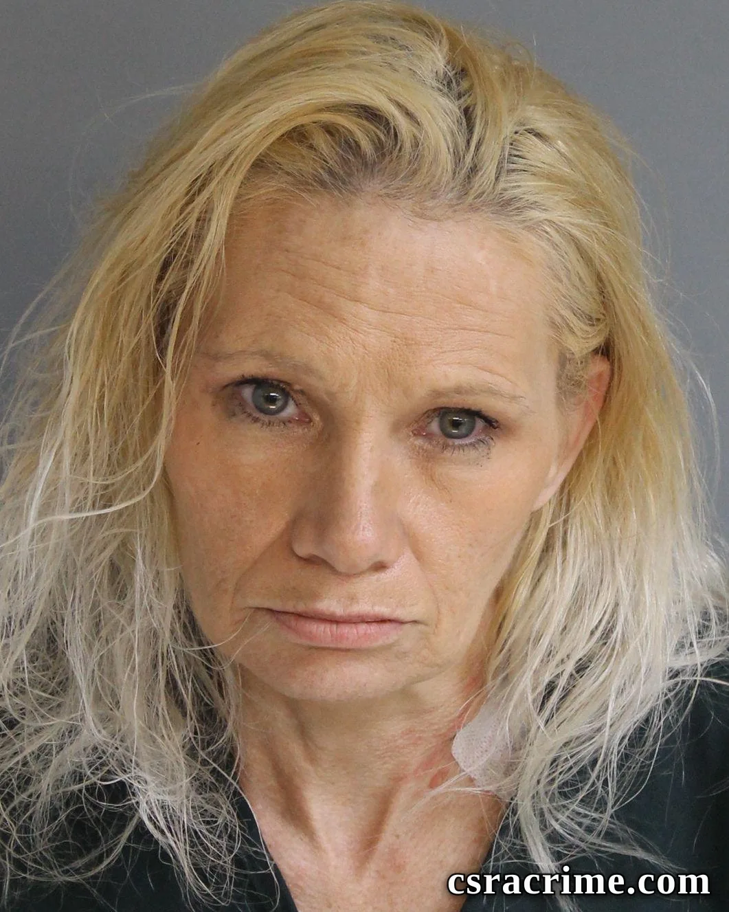 Andrea Poole booking photo