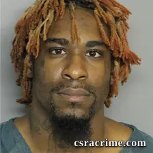 Andrea Powell booking photo