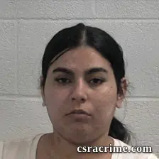 Andrea Salas booking photo