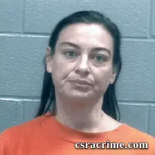 Andrea Stoddard booking photo