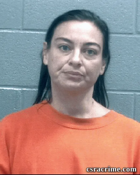 Andrea Stoddard booking photo