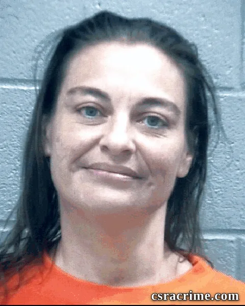 Andrea Stoddard booking photo