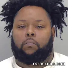 Andreas Hollins booking photo