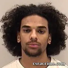 Andrew Alfred booking photo