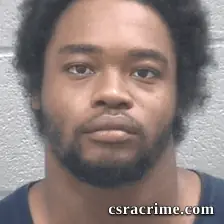 Andrew Hamilton booking photo