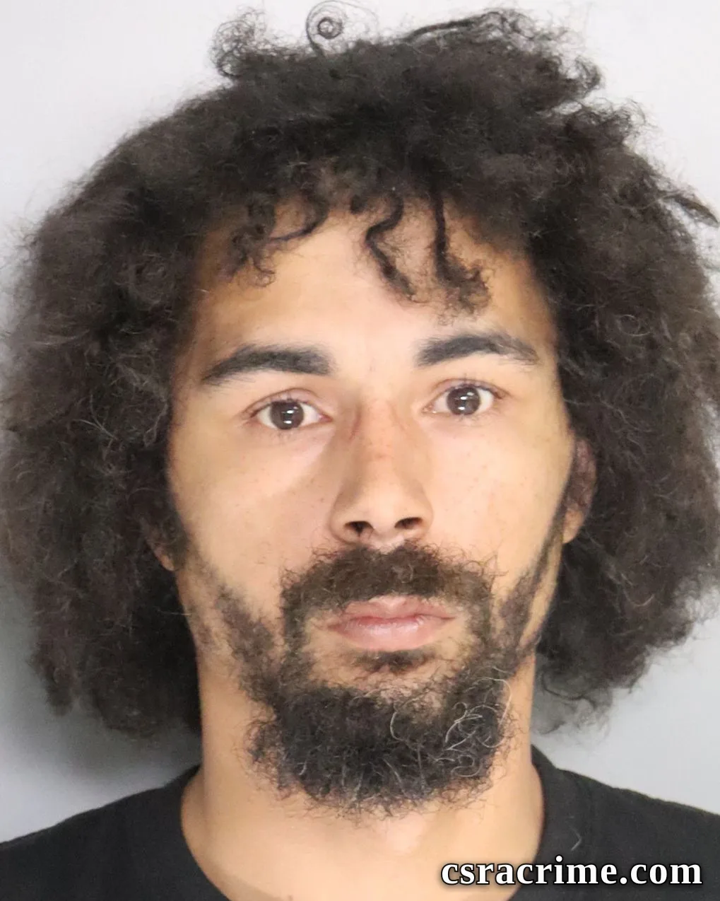 Andrew Montgomery booking photo