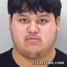 Angel Ramirez booking photo