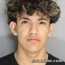 Angel Yanes booking photo