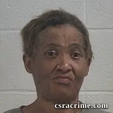 Angela Denise Johnson booking photo