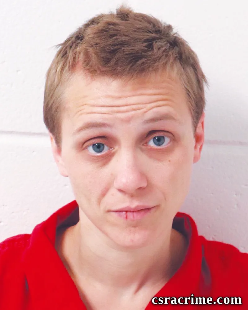 Angela Wallace booking photo