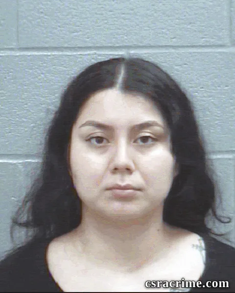 Angelica Moreno booking photo