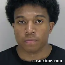 Ani Allums booking photo