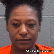 Anicia Akers booking photo
