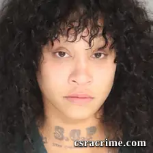 Ann Elliott Johnson booking photo