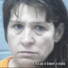 Ann Gillenwalters booking photo