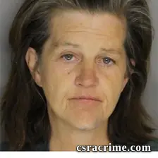 Ann Smith booking photo