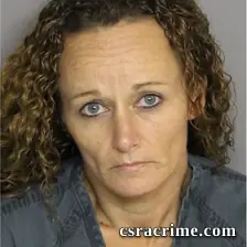 Anna Arico booking photo