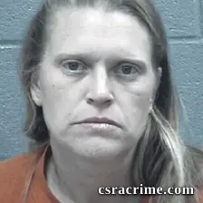 Anna Hogan booking photo