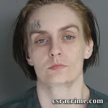 Anna Mccleer booking photo