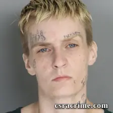 Anna Mccleer booking photo