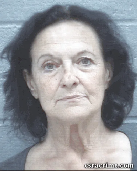 Anna Mohan booking photo