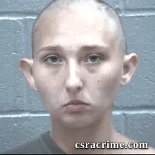 Anna Sprouse booking photo
