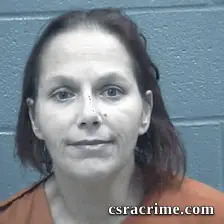 Anna Williams booking photo