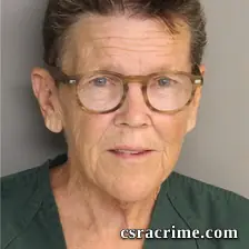 Annette Weese booking photo