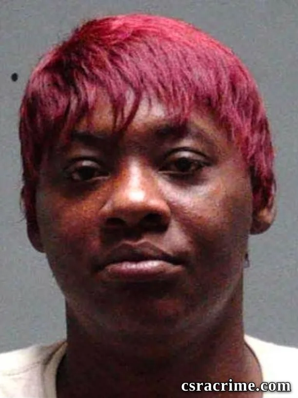 Annie Ruth Jenkins booking photo