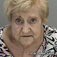 Anniliese Young booking photo