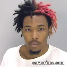 Anthony Hannah JR booking photo